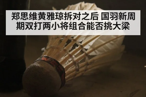 郑思维黄雅琼拆对之后 国羽新周期双打两小将组合能否挑大梁